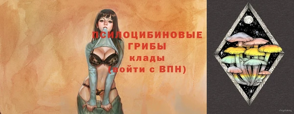 амф Покачи