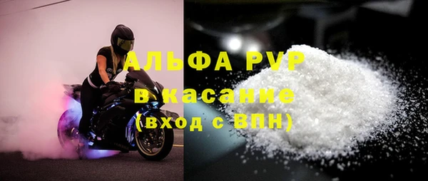 стаф Волоколамск