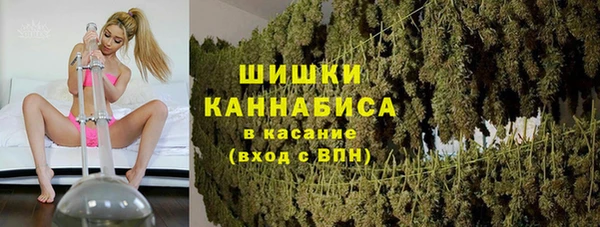 a pvp Пересвет