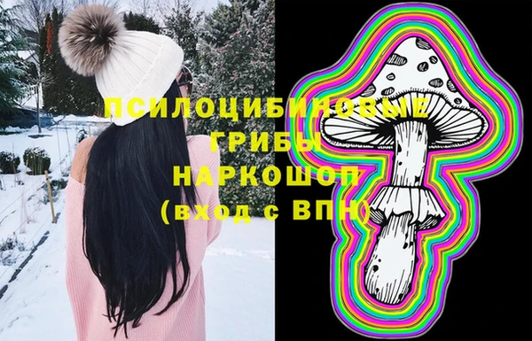 стаф Пестово