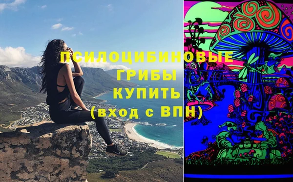 стаф Пестово