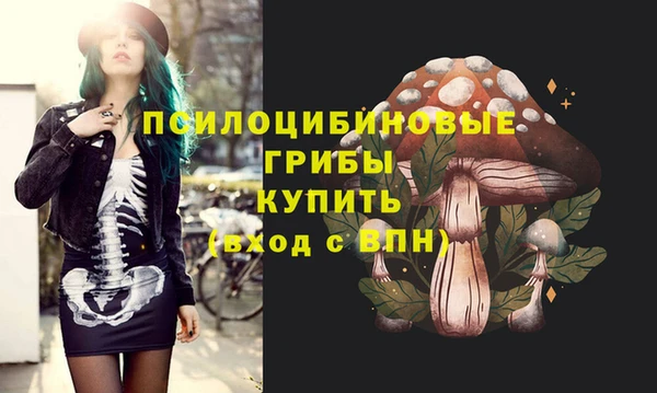 a pvp Пересвет
