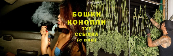 ПСИЛОЦИБИНОВЫЕ ГРИБЫ Покровск