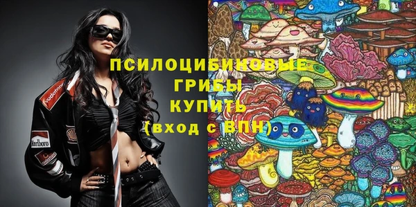 а пвп мука Переславль-Залесский