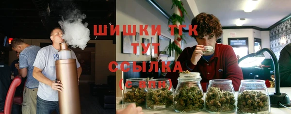 a pvp Пересвет