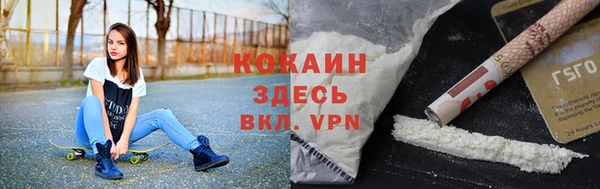 a pvp Пересвет