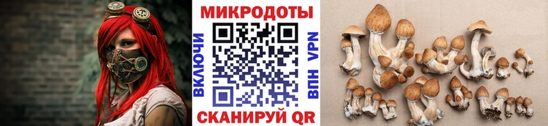 кракен tor Белоозёрский Галлюциногенные грибы ЛСД